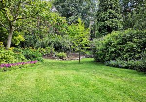 Optimiser l'expérience du jardin à Bossay-sur-Claise